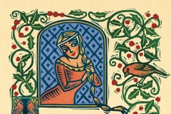 Medi Troubadour
