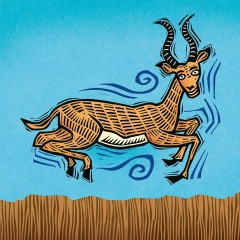 I is for Impala