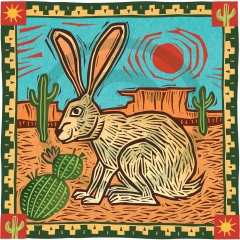 Jack Rabbit in the Desert