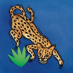 S is for Serval