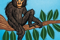 B is for Bonobo