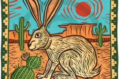 Jack Rabbit in the Desert