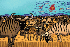 Wildebeests