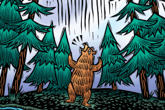 Lost Bears