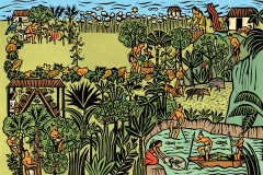 Mayan Agriculture