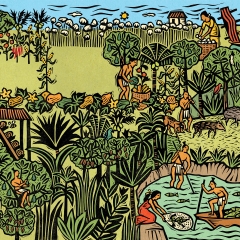 Mayan Agriculture