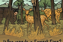 Who Needs a Forest Fire?