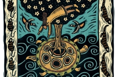 Turtle Island