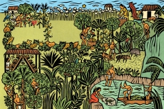 Mayan Agriculture