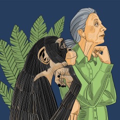 Monkey See Monkey Do